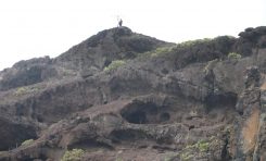 El Gobierno de Canarias declara Bien de Interés Cultural la "Cueva de los Canarios"