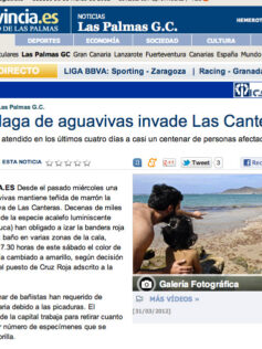 Una plaga de aguavivas invade Las Canteras ( laprovincia.es).