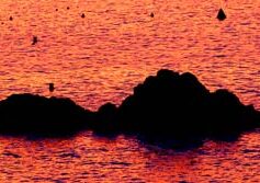 Relatos de verano: Odisea de unas gafas perdidas en el mar, cerca de la Peña la Vieja. 90 días de estancia submarina