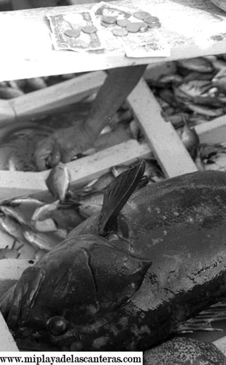 Vendiendo pescado de barquillo en La Puntilla – sobre 1980 – colecc. Tino Armas
