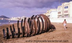 Una ballena en Punta Brava- exposición Mareas que se celebró del 12 de mayo al 26 de junio de 1989- Obra de Ferrán Aguilló.