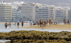 Tras un abril de tiempo regular, con mayo llega el buen tiempo a la orilla de la playa de Las Canteras.
