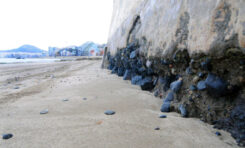 El desgaste del rudo muro de playa.