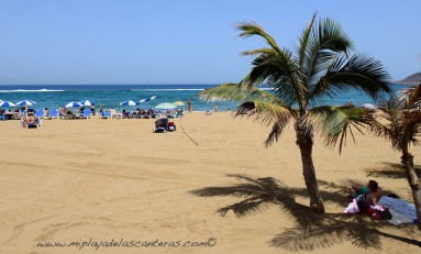 Las Palmas de Gran Canaria estrena un semáforo on line para informar sobre el nivel de aforo en las playas