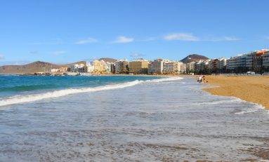 El Ayuntamiento y la Universidad de Las Palmas de Gran Canaria celebran la 1ª Jornada ‘Investiga en Las Canteras’