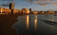 Las Palmas de Gran Canaria se suma a las recomendaciones emitidas por la Organización Mundial del Turismo para afrontar la crisis en el sector