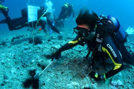 img_40092.0605324074_00 /></p>
<p><img decoding=