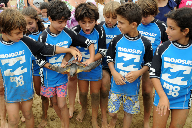 Reportaje fotográfico: En busca de la libertad. Emocionante despedida de siete tortugas en Las Canteras