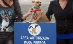 3.000 firmas por una playa para perros en Las Palmas de Gran Canaria