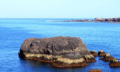 El roque Matavinos se convertirá en refugio para los charranes comunes en la bahía de El Confital