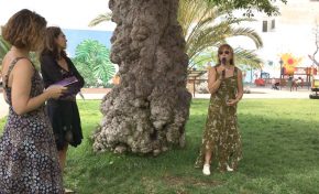 Un recital de poesía rodea al ficus centenario del Parque Pino Apolinario