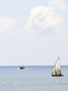 Encuentro de barquillos y botes de vela latina canaria