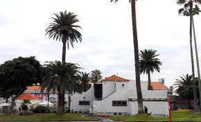 La Casa del Turismo del parque Santa Catalina acogerá una muestra de flora autóctona canaria