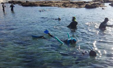 Por una actividad sostenible de las empresas turísticas de snorkel