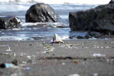 Proyecto “La arena de nuestras playas”: el 60% de la costa canaria tiene microplásticos y también colillas