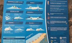 El código del surfing en todos los accesos a la playa de la Cicer