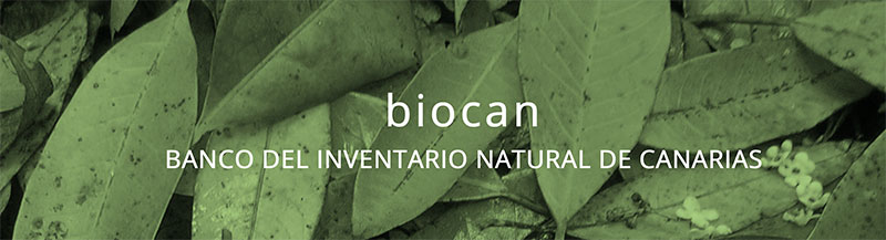 Se presenta BIOCAN, una nueva plataforma con la información sobre la biodiversidad en Canarias