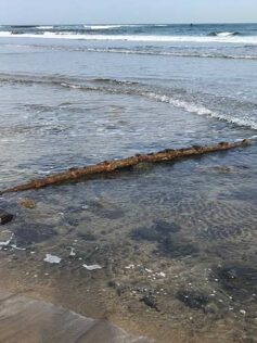Se deja ver en la playa de la Cicer el cable submarino de fibra óptica “Optican”