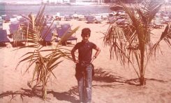 1981: se plantan los cocoteros de Las Canteras