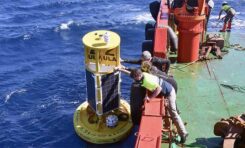 Investigadores de las universidades canarias fondean una boya para monitorizar los sonidos submarinos y el nivel de CO2