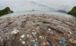 El plástico envenena y mata a la fauna de los océanos
