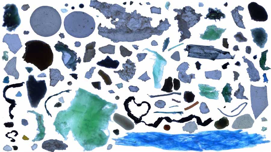 Esta es la imagen completa del origen y composición de la basura de los océanos