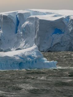 El desprendimiento de los mayores icebergs antárticos, una señal de alarma