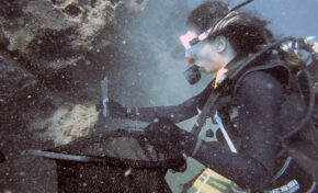 Investigadores de la Universidad de La Laguna encuentran las primeras evidencias de microplásticos en los erizos de mar de Canarias