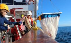 La contaminación oceánica por microplásticos podría ser superior a la estimada