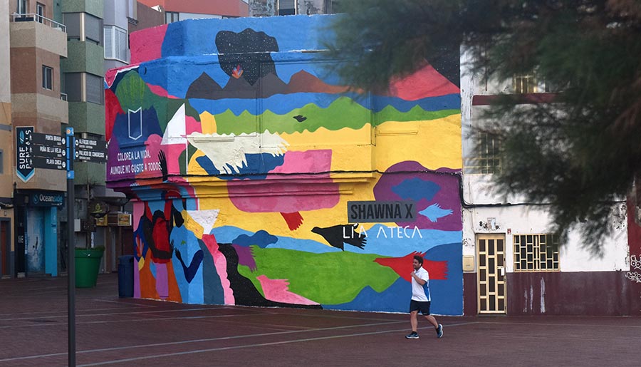 El mural de la artista Lía Ateca en Las Canteras