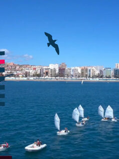 Súbete a la ola: FIMAR invita en su vídeo promocional a disfrutar de su retorno en el muelle de cruceros de Santa Catalina