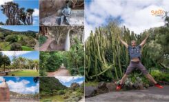 Salta Conmigo recomienda la visita al Jardín Botánico Canario Viera y Clavijo, y su encanto natural para el visitante