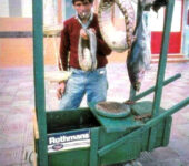 Suso y su carrito de vender pescado