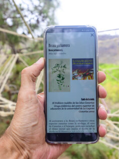 Kleos Guiniguada: una app para conocer la riqueza del barranco que vertebra a Las Palmas de Gran Canaria