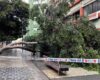 Canarias empieza a recuperar la normalidad tras registrar un episodio de precipitaciones extraordinario